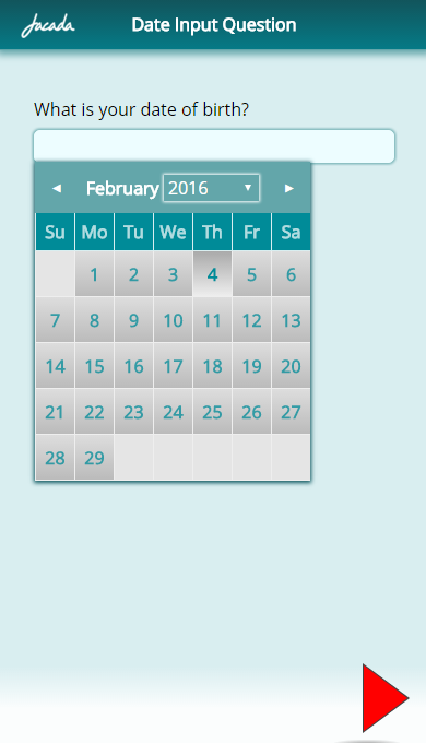202751456-DateInputExample.png
