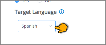 GenAISummary-ExperienceConfigSelectLanguage_181124.png