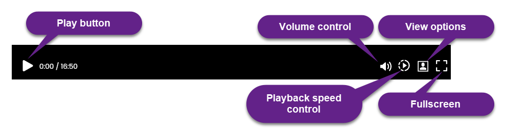 Playback_Ribbon.png