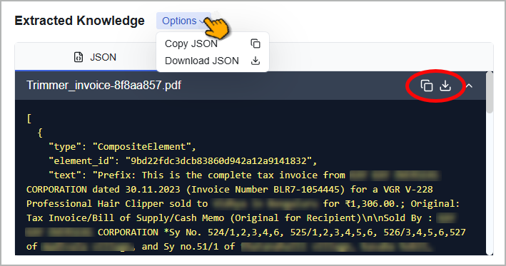 Document_Processing_page_-_Copy_extracted_data_.png